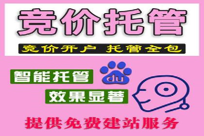 竞价推广代运营服务，打造高效广告投放体系
